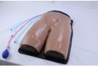 Femoral Vascular Access and Regional Anesthesia Ultrasound Trainer - PC-BPE012