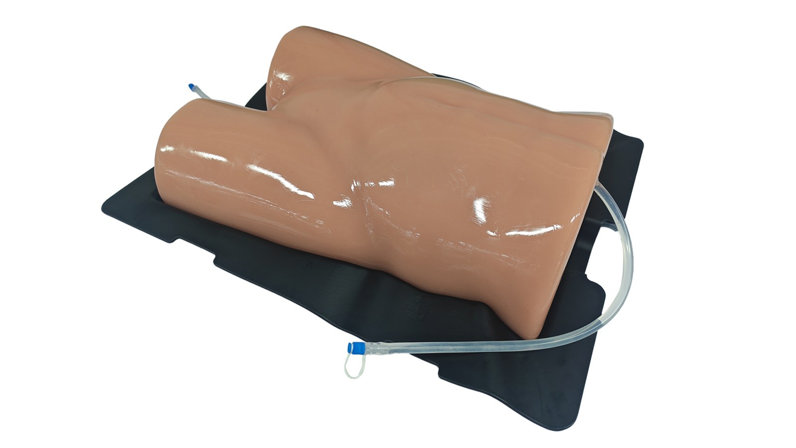 Paracentesis Ultrasound Trainer - Basic - PC-BPE020