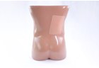 Renal Biopsy Ultrasound Training Model - PC-BPE022