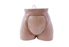 Amniocentesis Ultrasound Training Model - PC-BPE035
