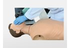 Half-Body CPR Manikin - PC-CLE001.28