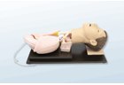 Airway and Intubation Simulators