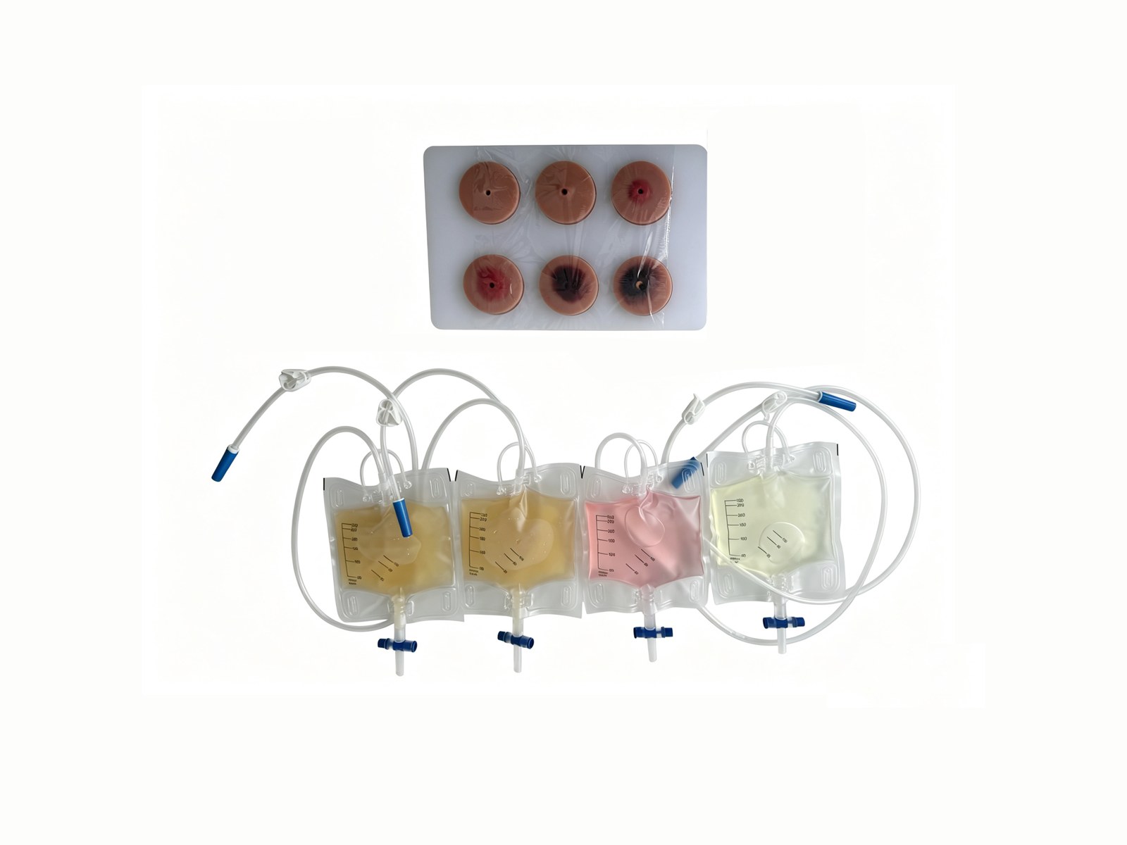 Peritoneal Dialysis Exit-Site Care and Effluent Recognition Trainer - PC-CLE006
