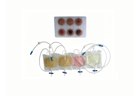 Peritoneal Dialysis Exit-Site Care and Effluent Recognition Trainer - PC-CLE006