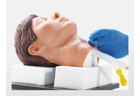 Cricothyrotomy and Tracheostomy Trainer - PC-CLE007.01
