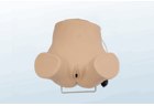 Gynecological Examination Model - PC-GYE001.01