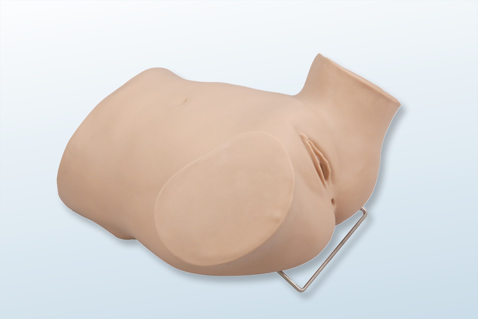 Advanced Gynecologic Examination Trainer-Plus - PC-GYE001.04
