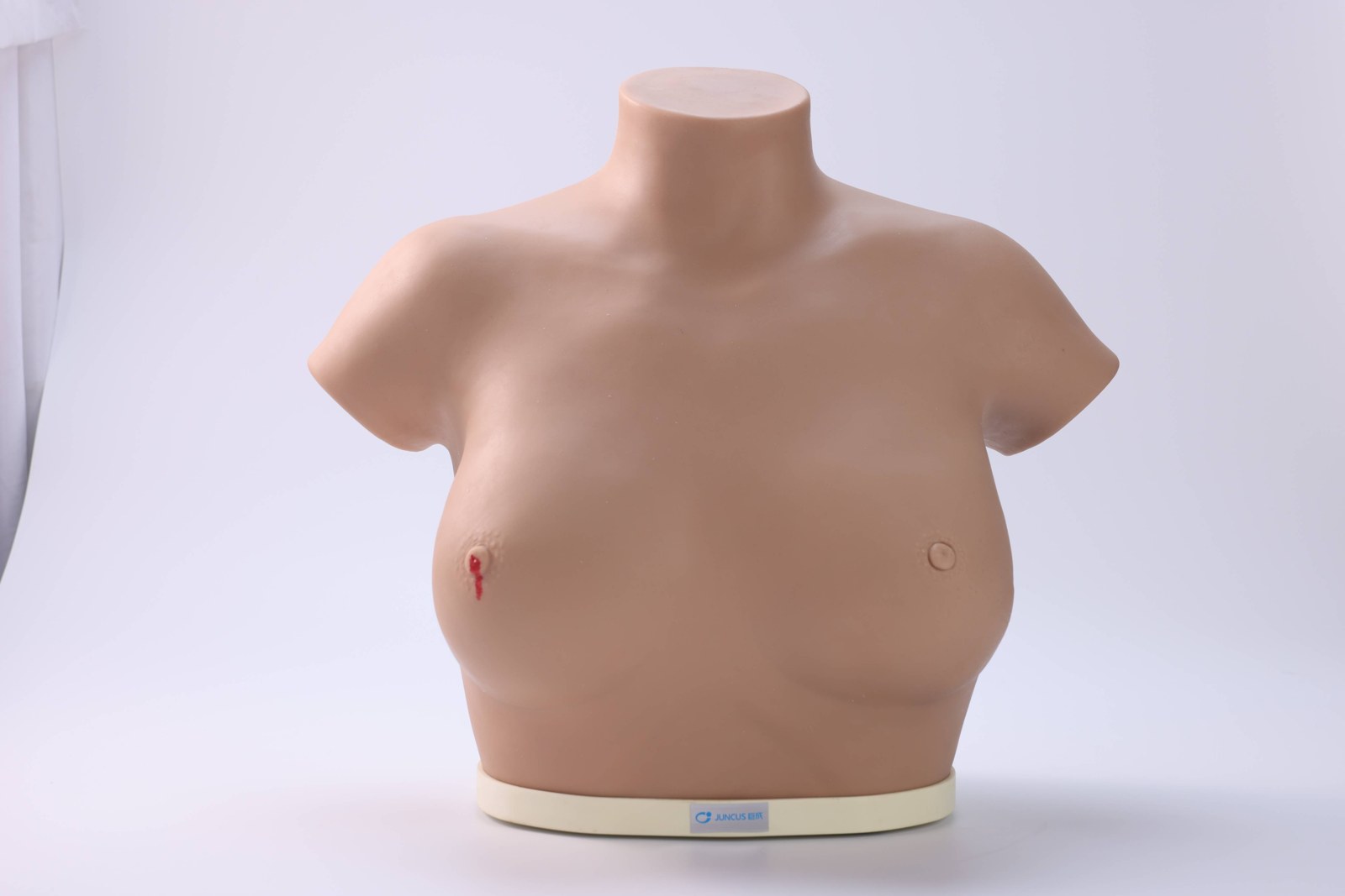 Breast Cancer Inspection and Palpation Model - PC-GYE003.03