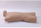 Bone Marrow Puncture Simulator - PC-MEE009.01
