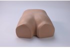PSIS Bone Marrow Aspiration Model - PC-MEE009.03