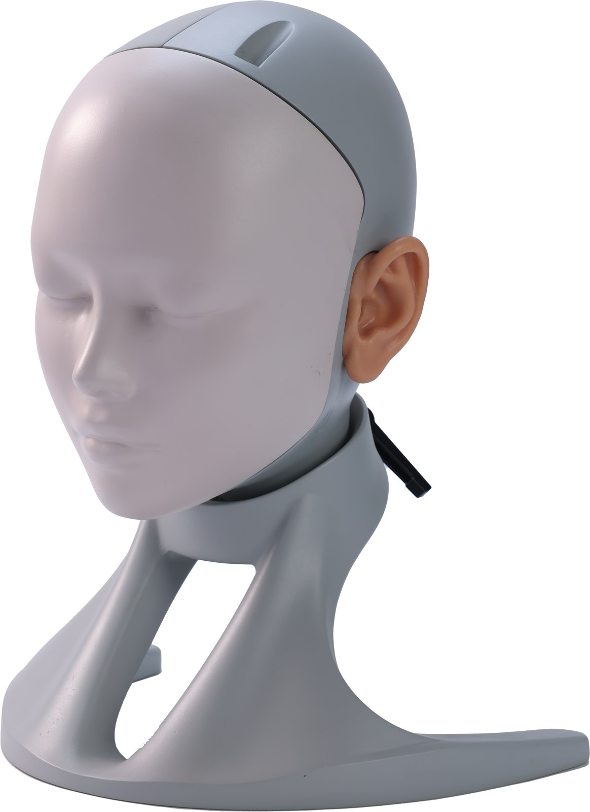 Ear Examination Model - PC-MEE018.01