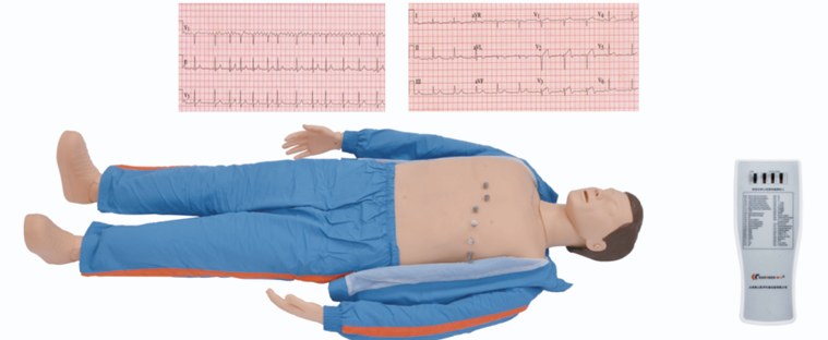 ECG Simulated Manikin - PC-MEE020