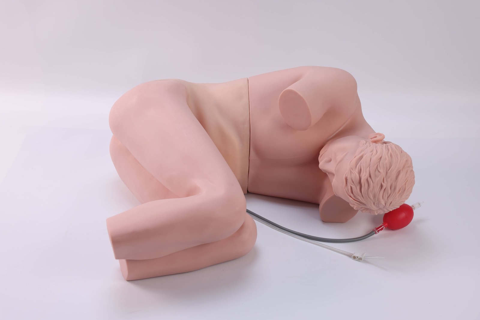Advanced Lumbar Puncture Simulator - PC-MEE038.01