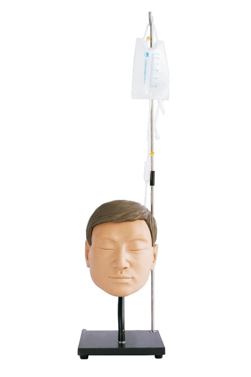 Maxillary Sinus Puncture Training Model - PC-MEE042