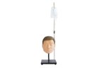 Maxillary Sinus Puncture Training Model - PC-MEE042
