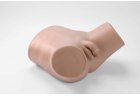 Male Catheterization Model - PC-NUE003.01