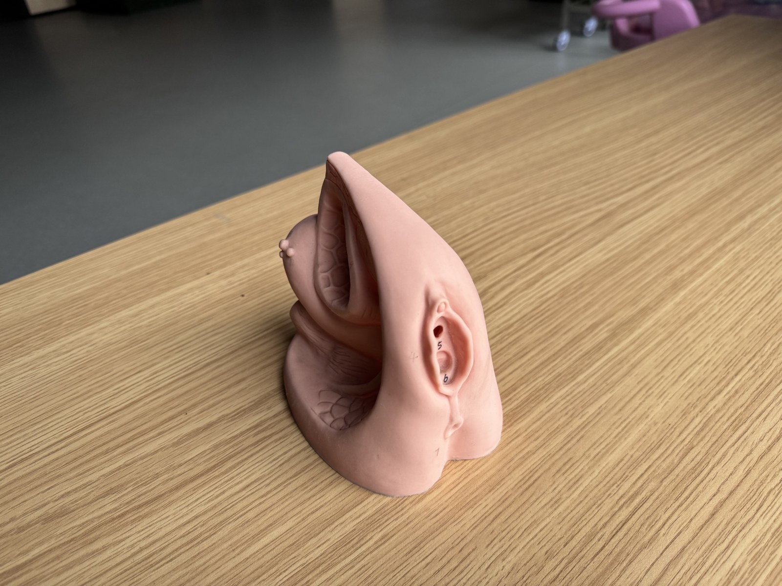 Female Foleys Catheterization Model - PC-NUE004.03
