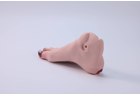 Diabetic Foot Care Model - PC-NUE020.01