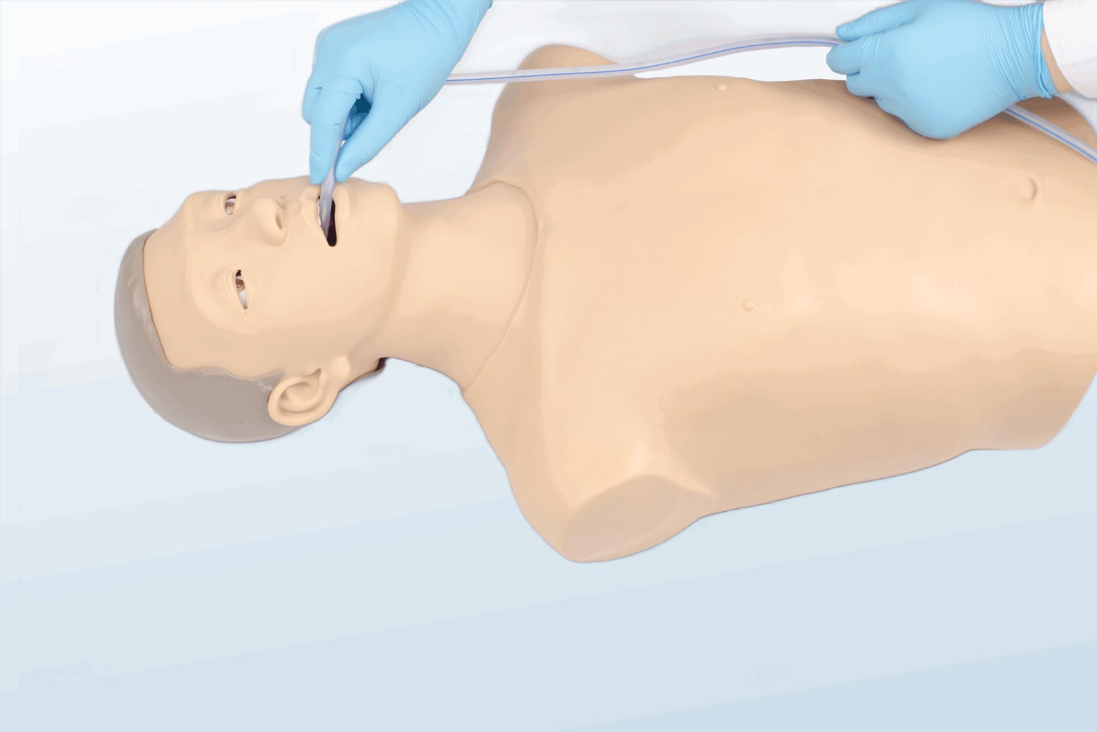 Gastric Lavage Training Model - PC-NUE024