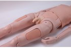 Detachable Nursing Manikin(Male) - PC-NUE038.03