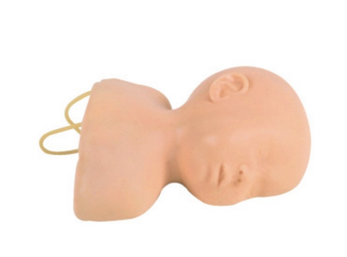 Infant Scalp Venipuncture Training Model - PC-PEE002.02
