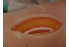 Five-Layer Suturing Pad - PC-SUE004.01